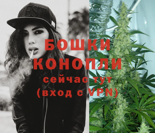 метадон Белокуриха