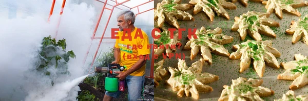гашиш Богданович