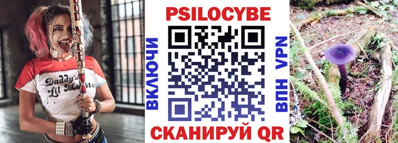 купить закладку  Гусев  Галлюциногенные грибы мицелий 